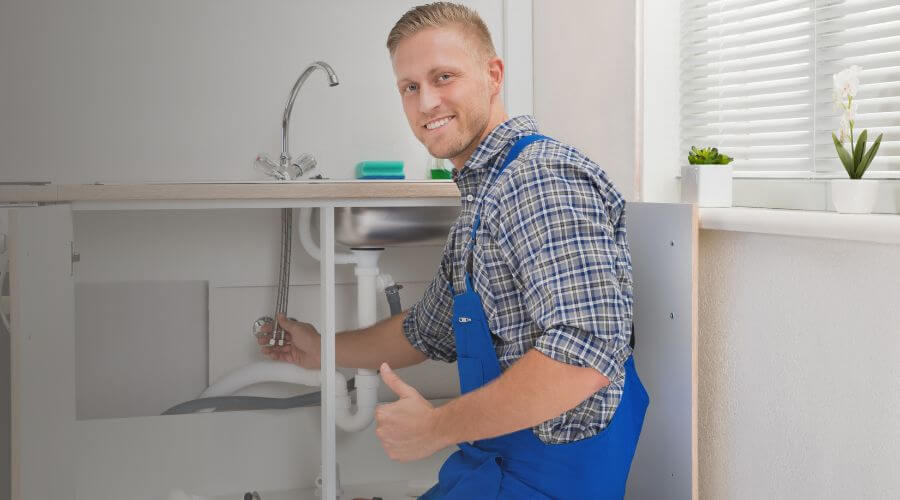 Holiday Plumbing Service in Eagarville, IL